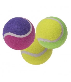 CANE GIOCO PALLE DA TENNIS MAGIC PET BOX DA 12 PEZZI